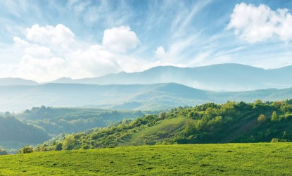 LANDSCAPE N431  | Carta parati paesaggio